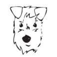 Petenkoiratarvike logo